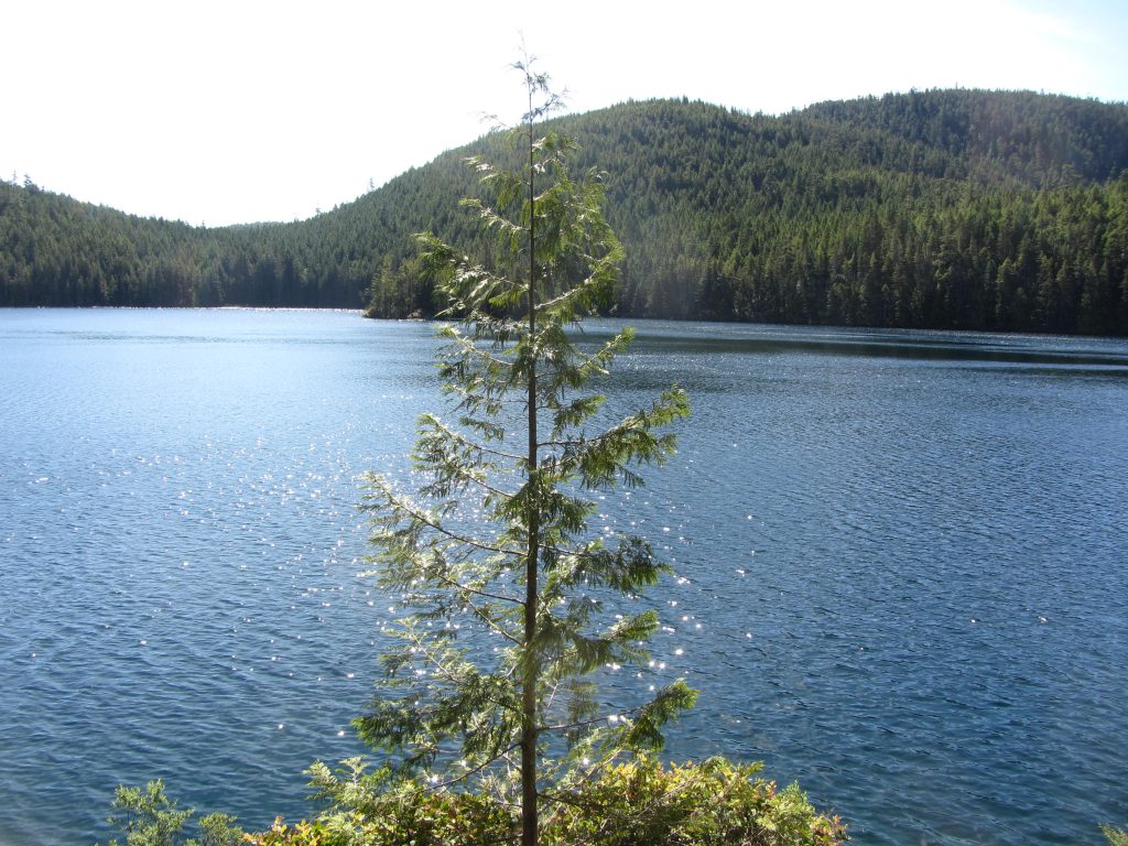 Newton Lake Trail & Small Inlet – Wyatt Bay Trail | Quadra Island Trails