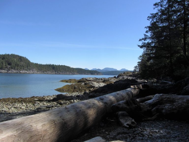 village bay Quadra Island Trails