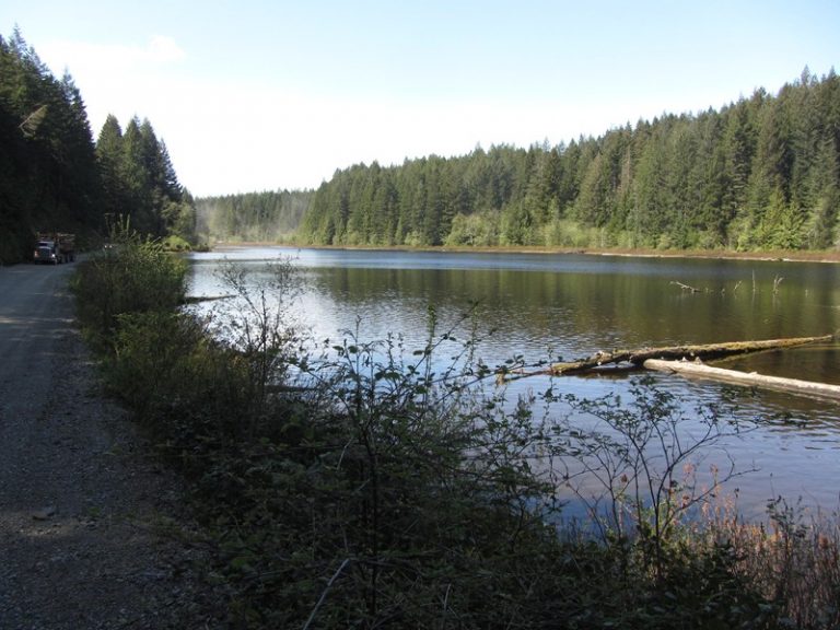 Mud Lake Trail Quadra Island Trails