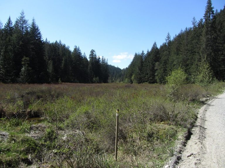Mud Lake Trail Quadra Island Trails